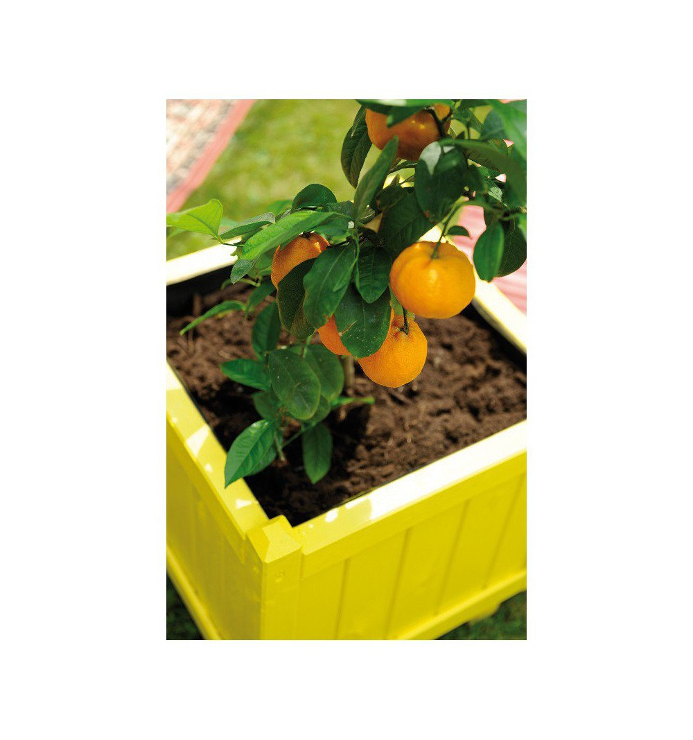 Beyond Wood Planter Box