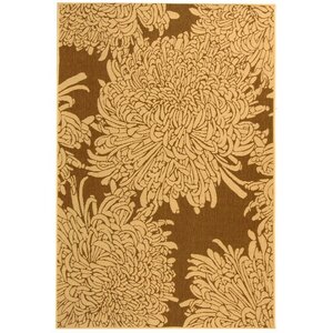 Barhill Brown/Natural Indoor/Outdoor Area Rug