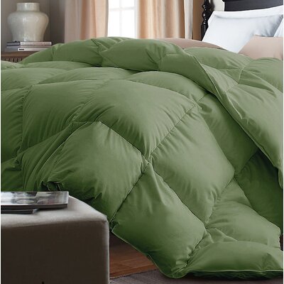 Alwyn Home Down Alternative Comforter Size King Color Powder Green