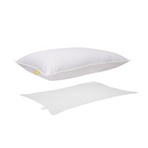 Wayfair down pillows clearance
