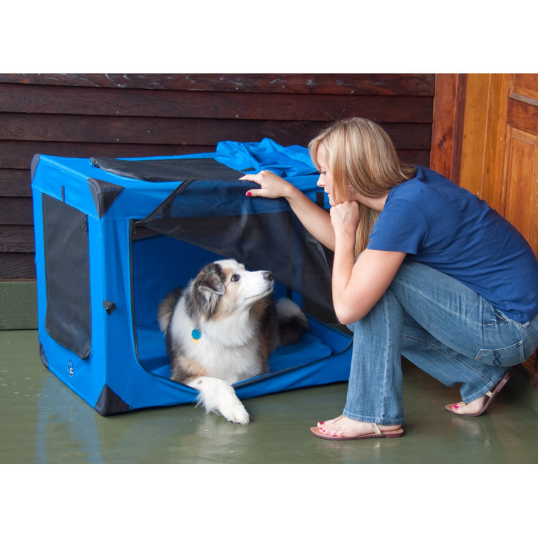 medium soft sided dog crate