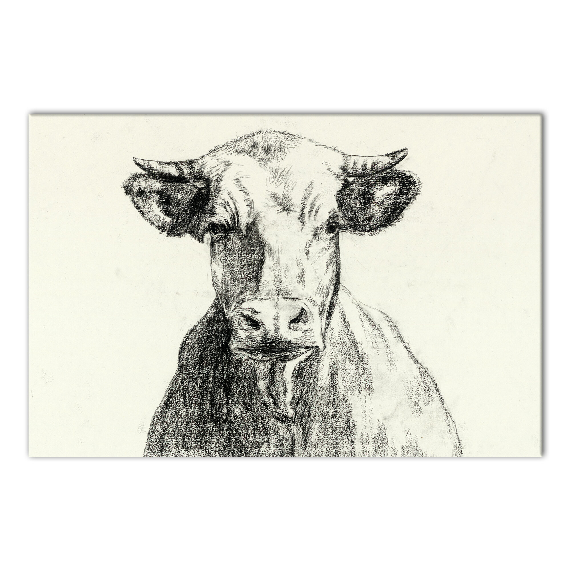 Farmhouse Cow Sketch' Wrapped Canvas Print on Canvas | Joss & Main
