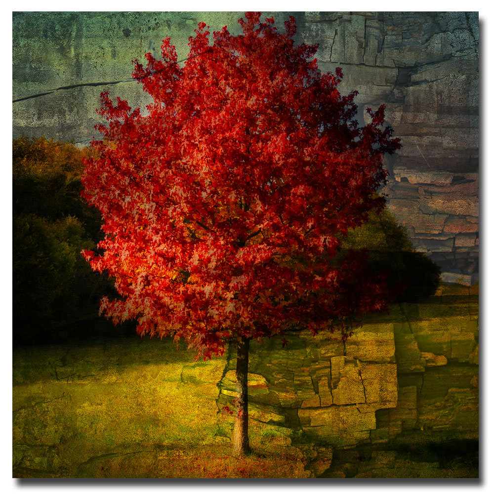 Trademark Art Autumn Red By Philippe Sainte Laudy Framed Painting Print On Wrapped Canvas Reviews Wayfair