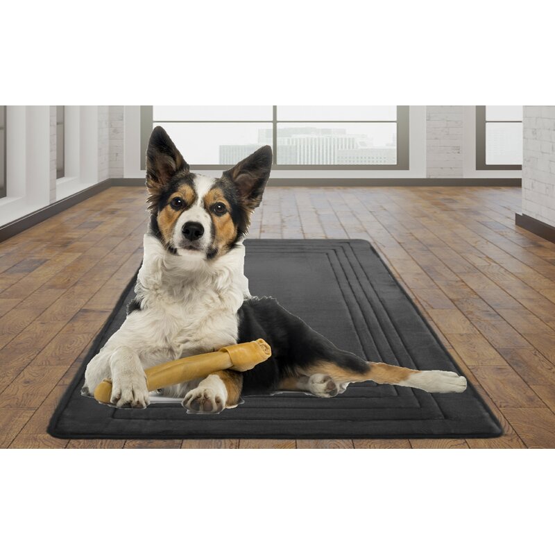 large dog mat