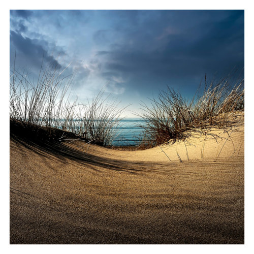 Sand Dune 1.92m x 1.92m Textured Matte Peel & Stick Wall Mural East Urban Home