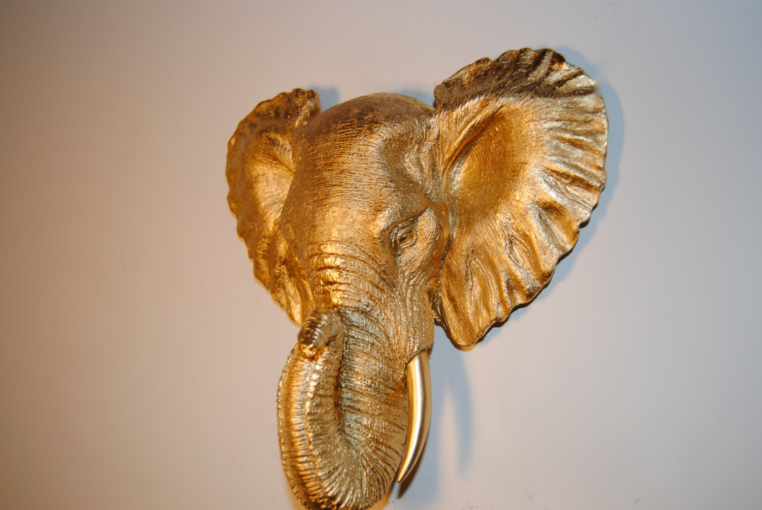Bungalow Rose Faux Taxidermy Mini Elephant Head Wall Decor Reviews Wayfair