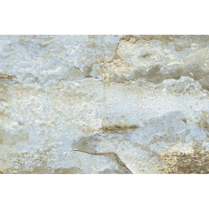 Floors 2000, Inc. Keystone 16" x 24" Porcelain Field Tile ...
