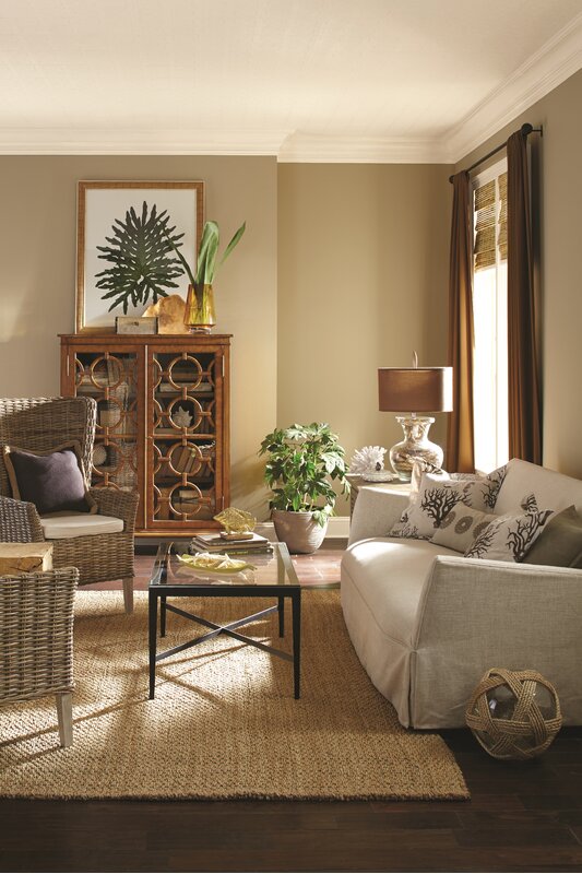Traditional Living Room Design Photo by Sherwin-Williams®