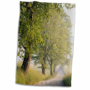 Hamish Image Of Fractal Smokey Streaks Hand Towel