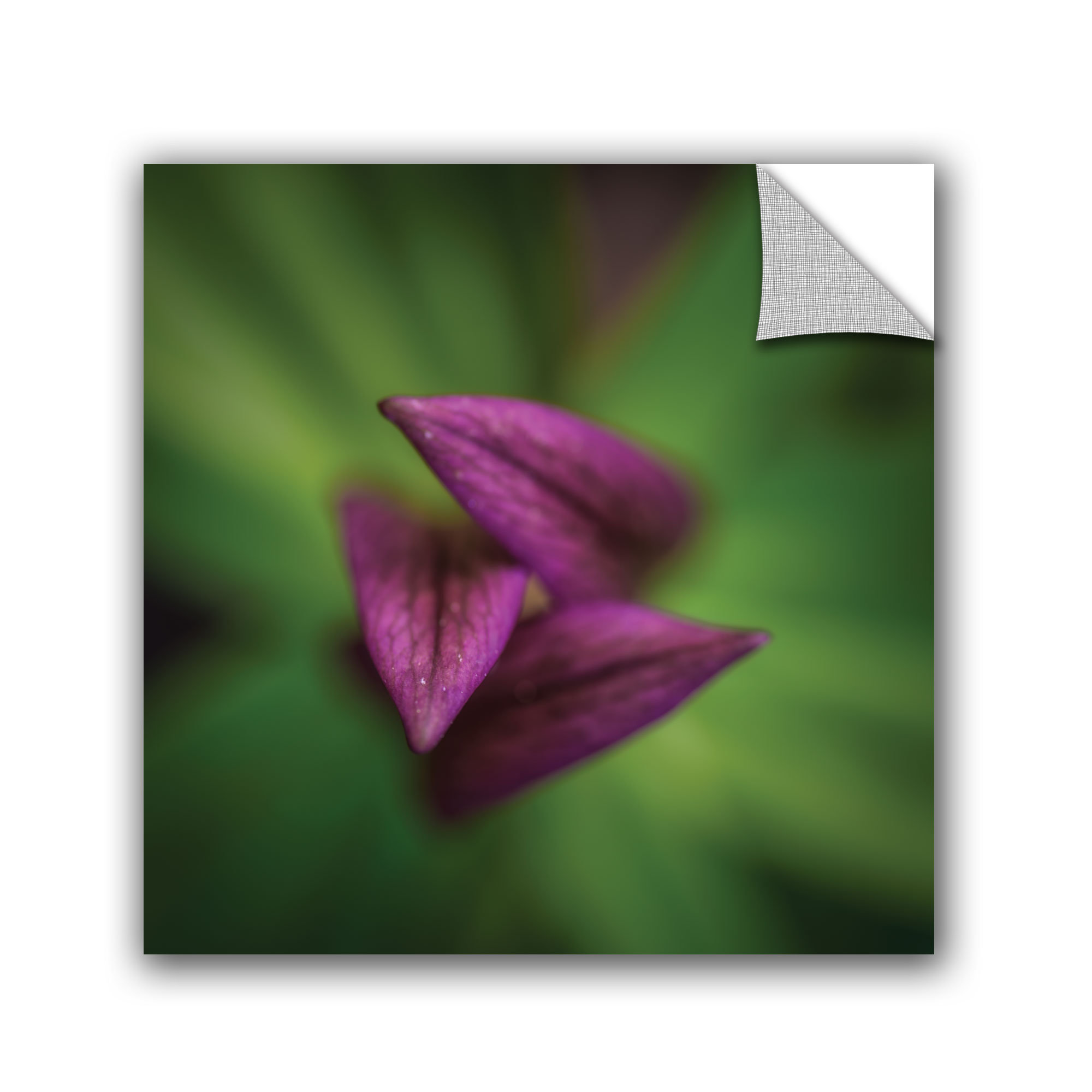 Ebern Designs Removable Wall Decal Wayfair