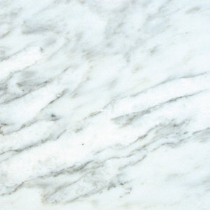 18'' x 18'' Marble Field Tile in Arabescato Carrara