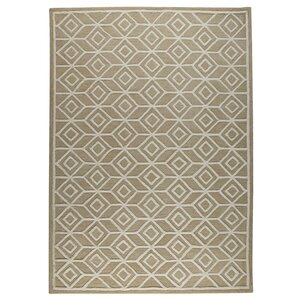 Yolanda Beige Ikat Area Rug