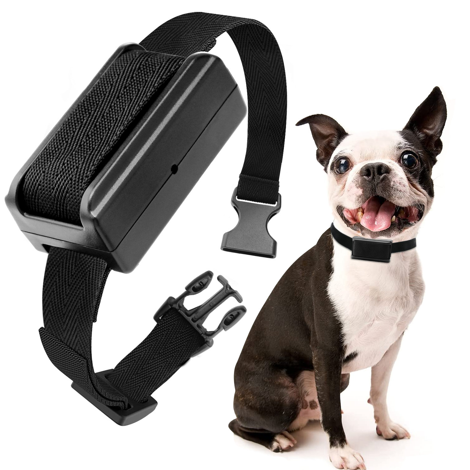 Bark Collar For A Small Dog