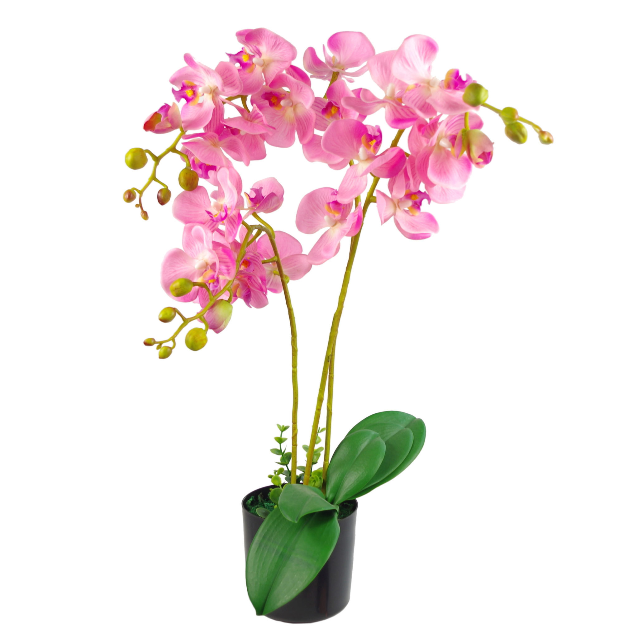 The Seasonal Aisle Orchids Floral Arrangement In Pot Reviews Wayfair Co Uk
