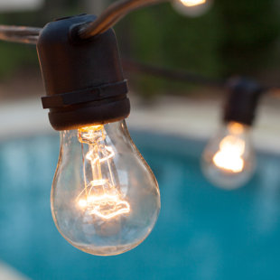 Best 24-Light Globe String Lights By Wintergreen Lighting Outdoor Lighting 24-Light Globe String Lights By Wintergreen Lighting Outdoor Lighting