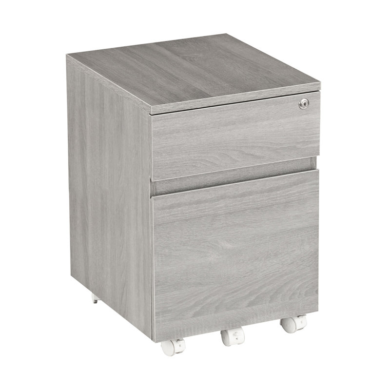 Orren Ellis Carreiro Rolling 2 Drawer Vertical Filing Cabinet