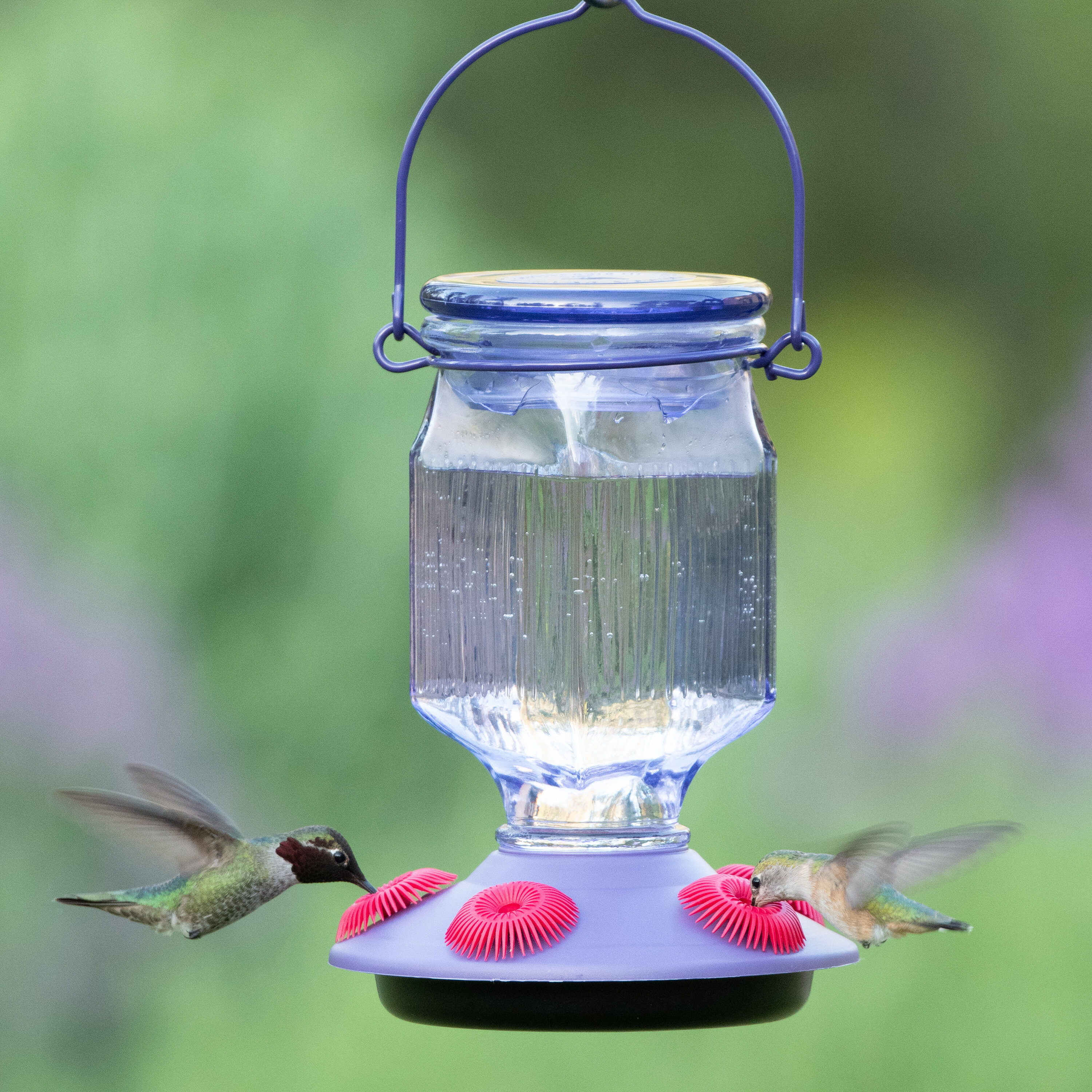 Hummingbird Feeder