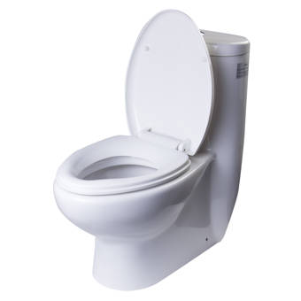 Wgi Gallery Weathered Anchor White Elongated Toilet Seat Wayfair