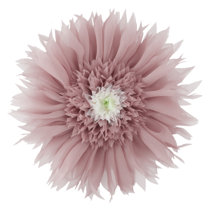 20 inch round pillow insert