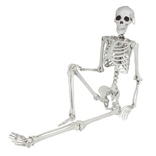 Skeleton Skull Halloween Decoration Prop Crazy Bonez Movable Jaw 6 Inches Tall for sale online 
