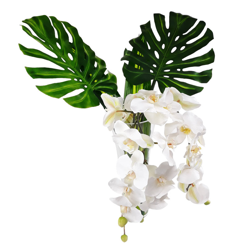 Bloomsbury Market Phalaenopsis Orchid Xanadu Leaves Floral Arrangement In Vase Wayfair