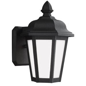 Eakins 1-Light Outdoor Wall Lantern
