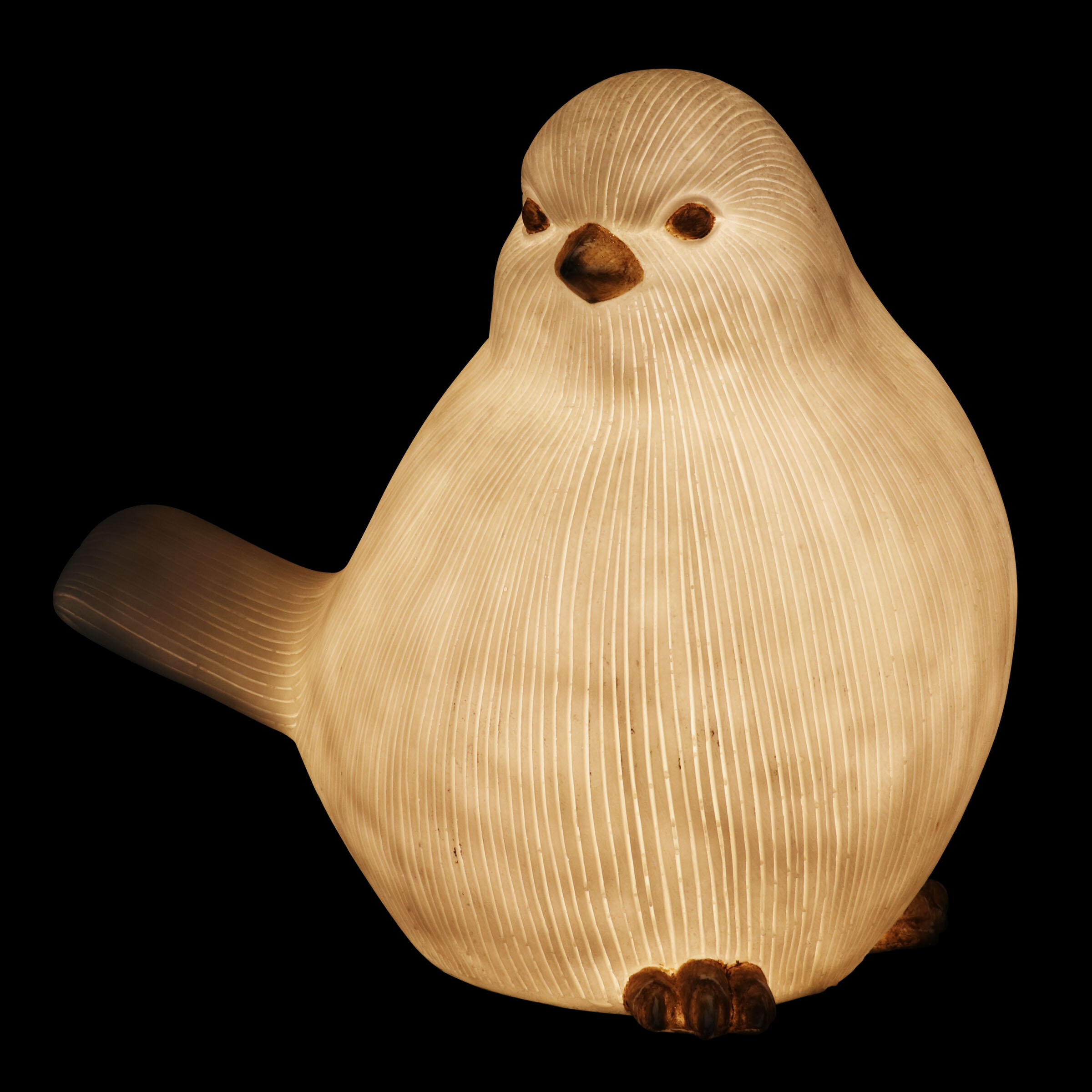 solar powered bird lights