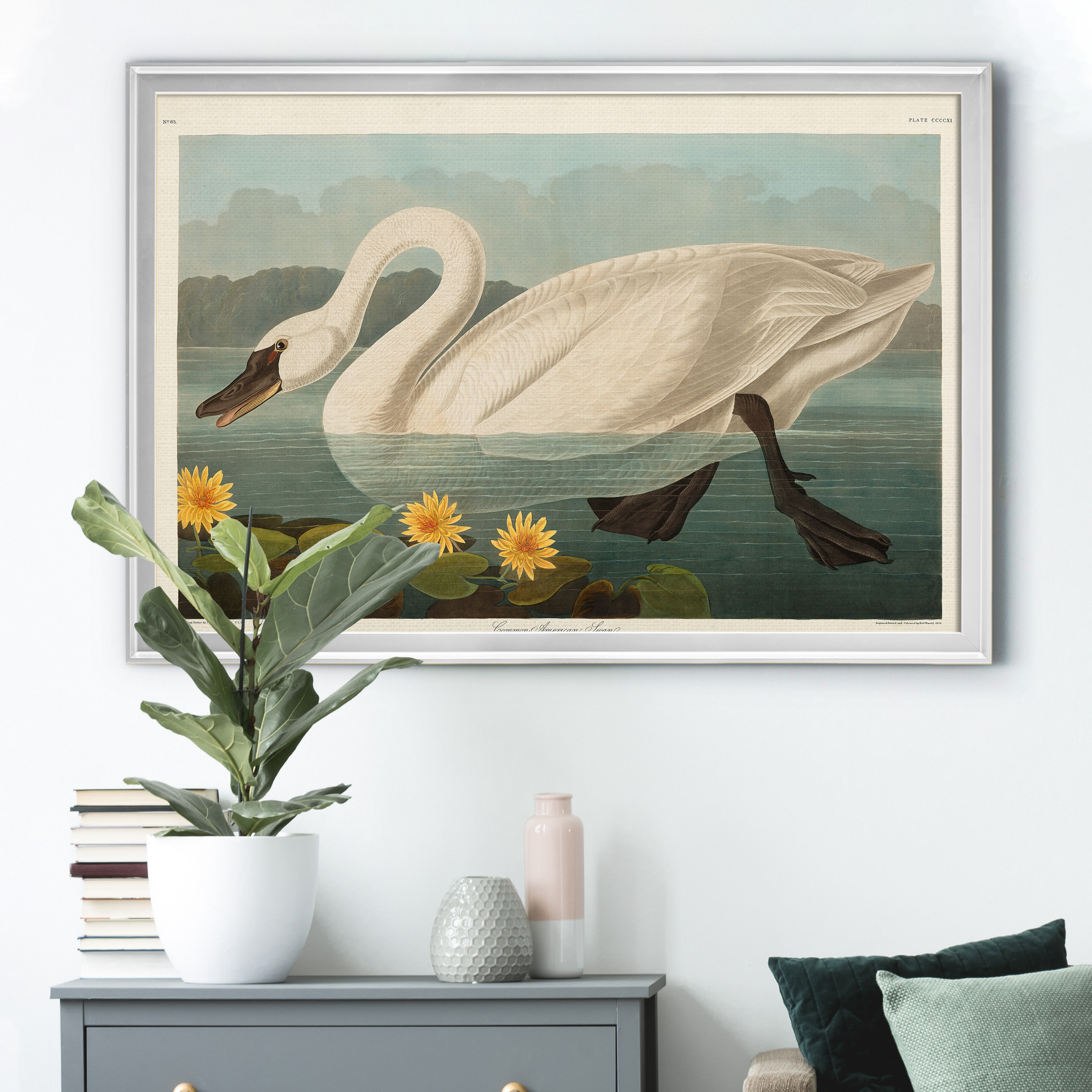August Grove® Common American Swan Picture Frame Print on Canvas