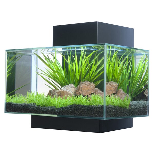 Fish Tanks & Aquariums You'll Love  Wayfair