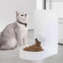 large cat feeder