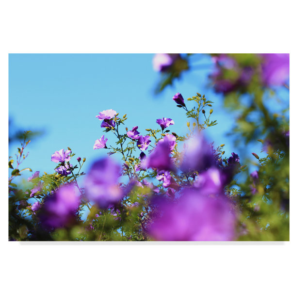 Blurred Purple Flowers Photographic Print On Wrapped Canvas