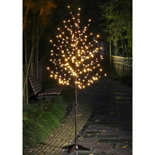 Decorative Lighted Trees Wayfair Cherry Blossom 208 Light Lighted Trees Branches