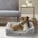 Martha Stewart Bella Pet Bolster & Reviews | Wayfair