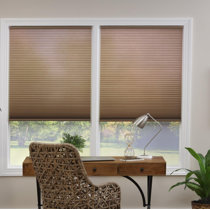 brown blinds