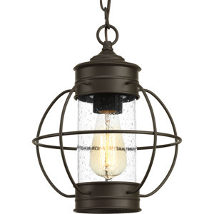 Nayeli 1-Light Outdoor Metal Hanging Lantern