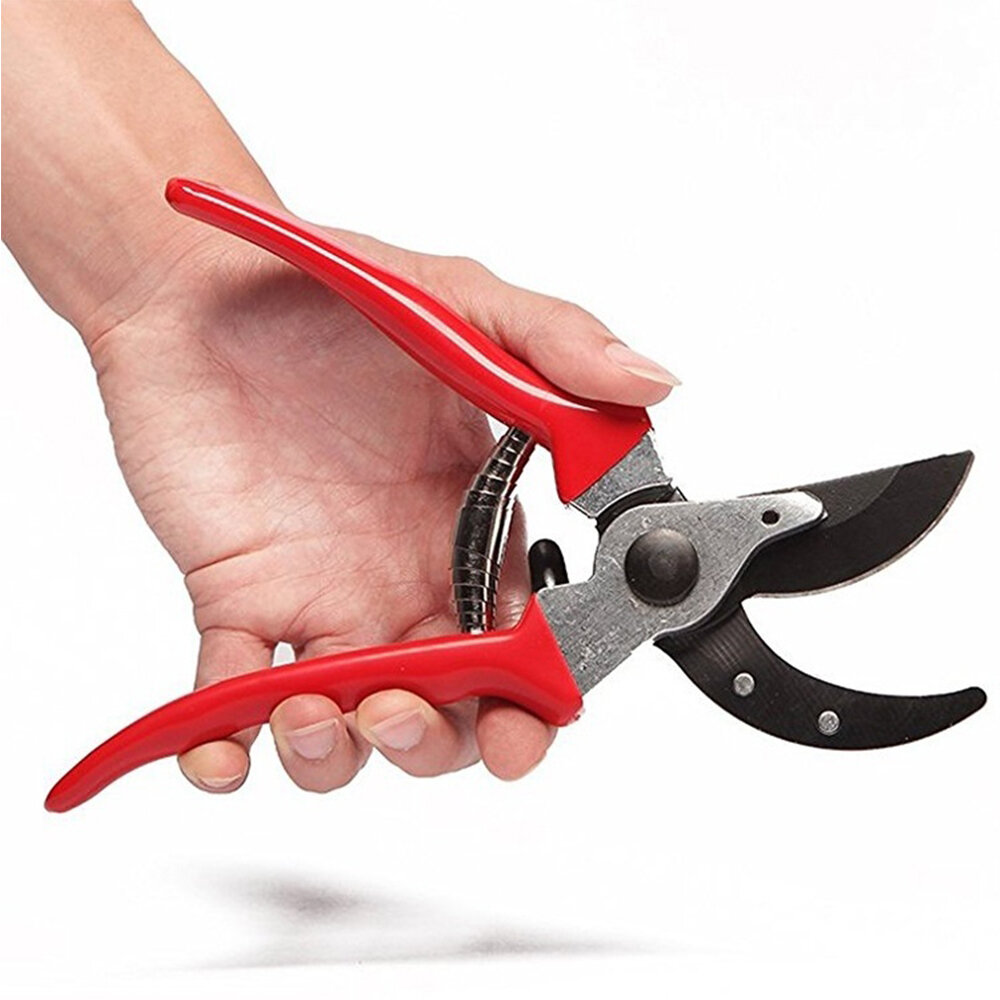 Pruning Scissors Wature Pruning Shears Garden Clippers Florist Scissors Hand Pruners &  Reviews | Wayfair