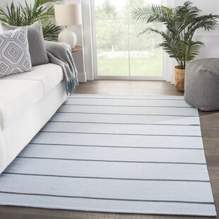 Modern Contemporary Light Blue Rug Allmodern