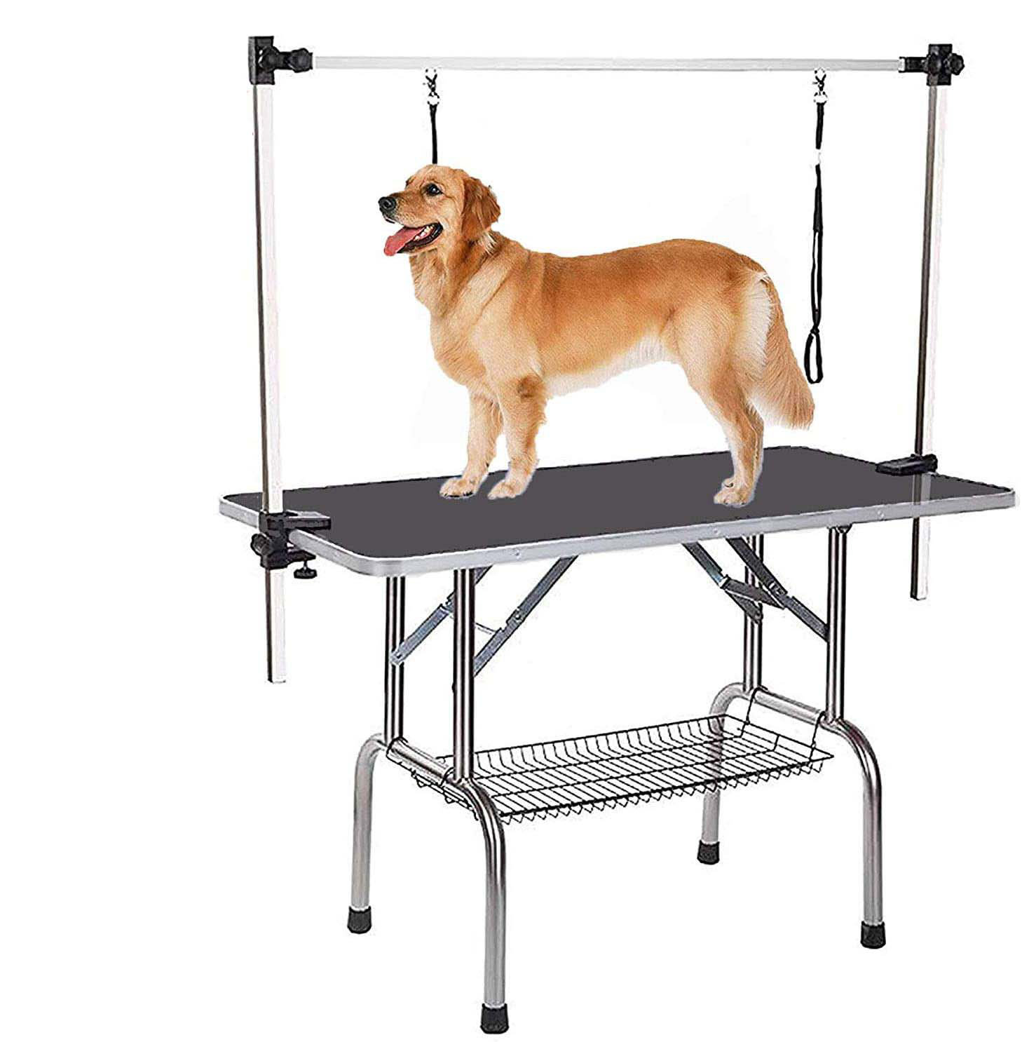 Itapo Pet Grooming Table Reviews Wayfair