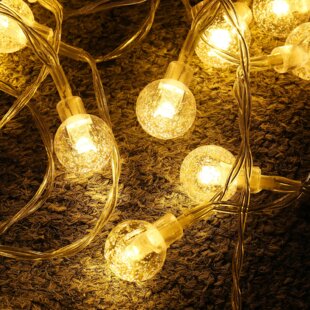Plug-In LED String Lights by Globe Electric 10-Light Sansa Outdoor/Indoor 10 ft 
