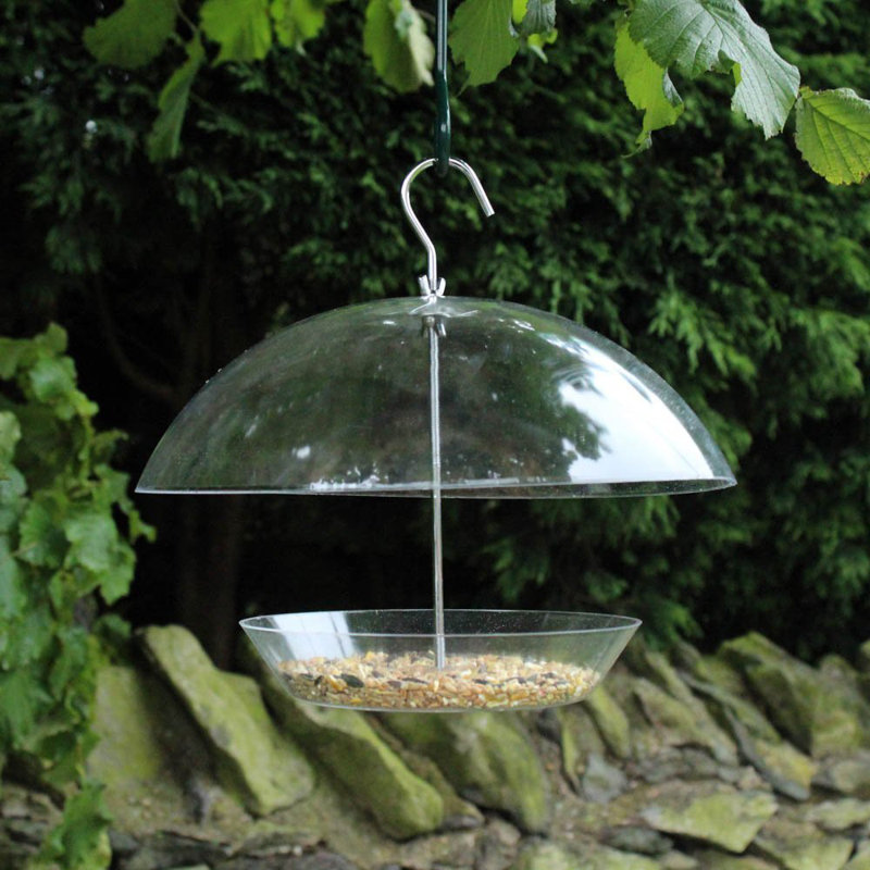 Archie Oscar Esperanza Hanging Tray Bird Feeder Wayfair Co Uk