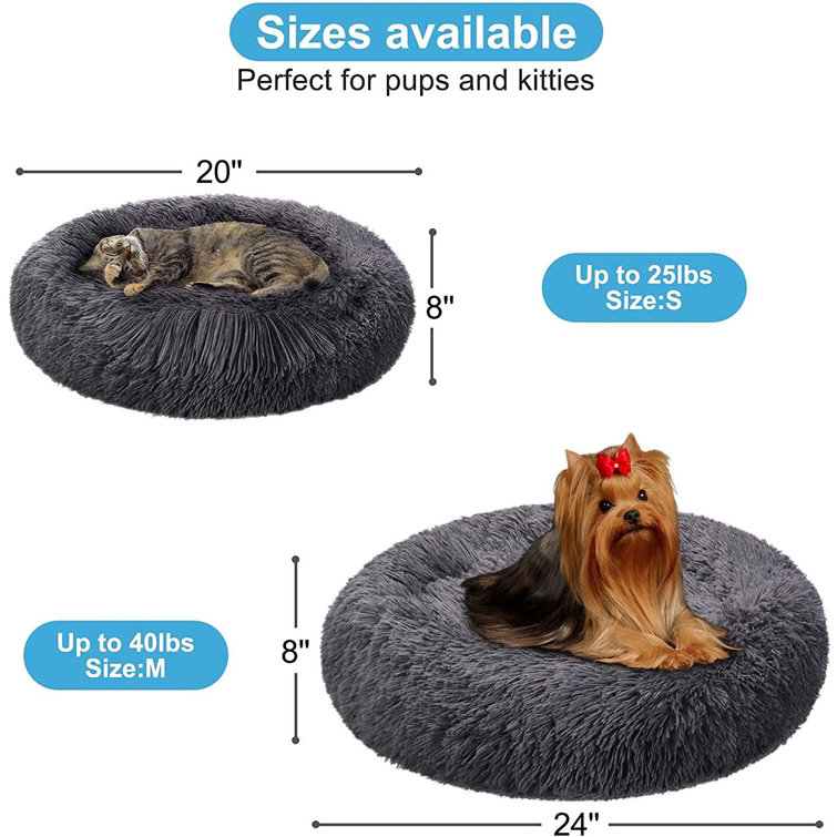 medium dog bed size