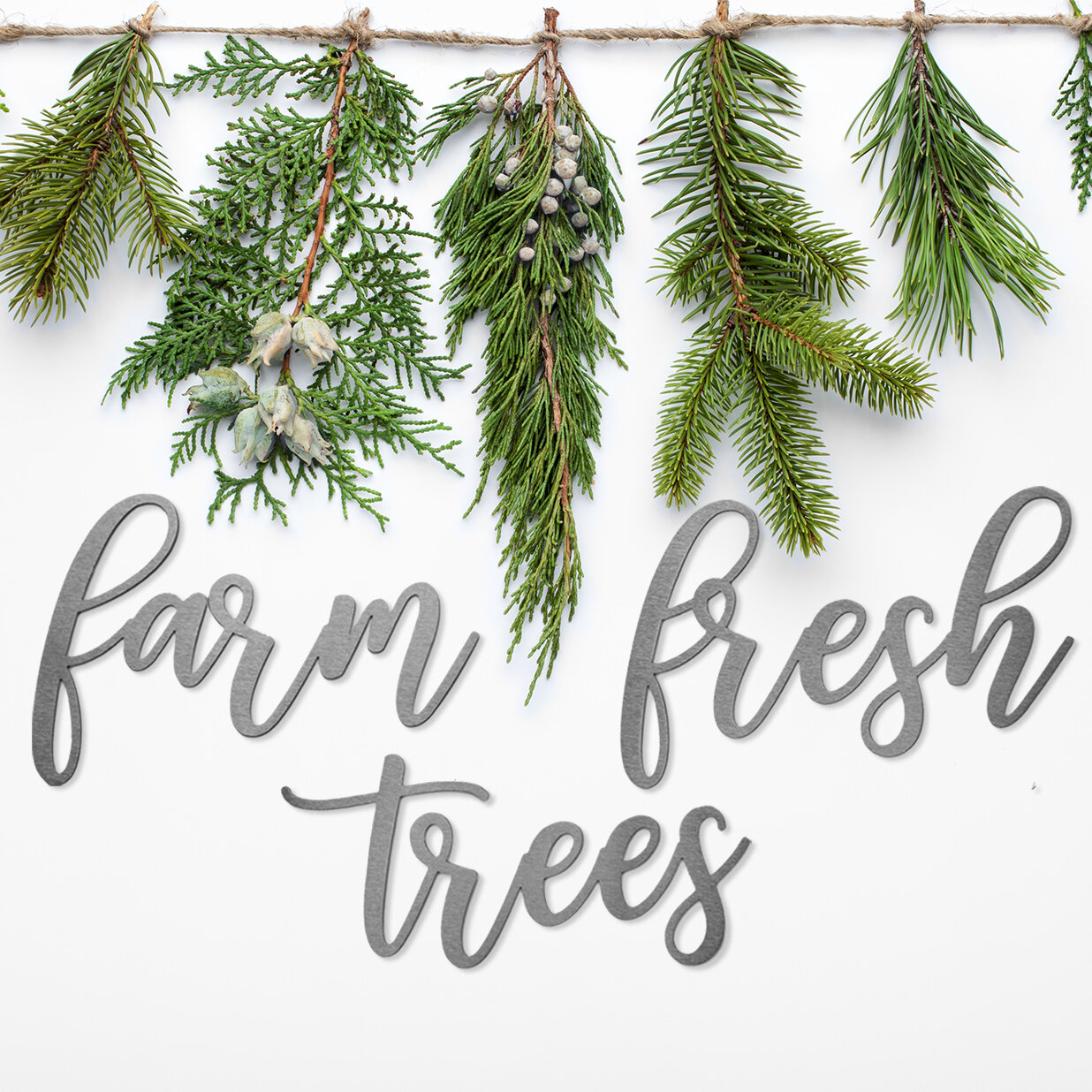 Gracie Oaks Farmhouse Christmas Phrases Farm Fresh Trees Sign Wayfair