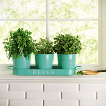 Mint Green Kitchen Decor | Wayfair