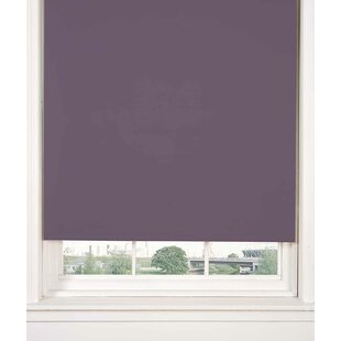 Blackout Blinds You Ll Love Wayfair Co Uk