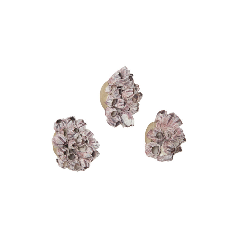 Phillips Collection Barnacle Cluster Wall Art, SM, Set Of 3 | Perigold