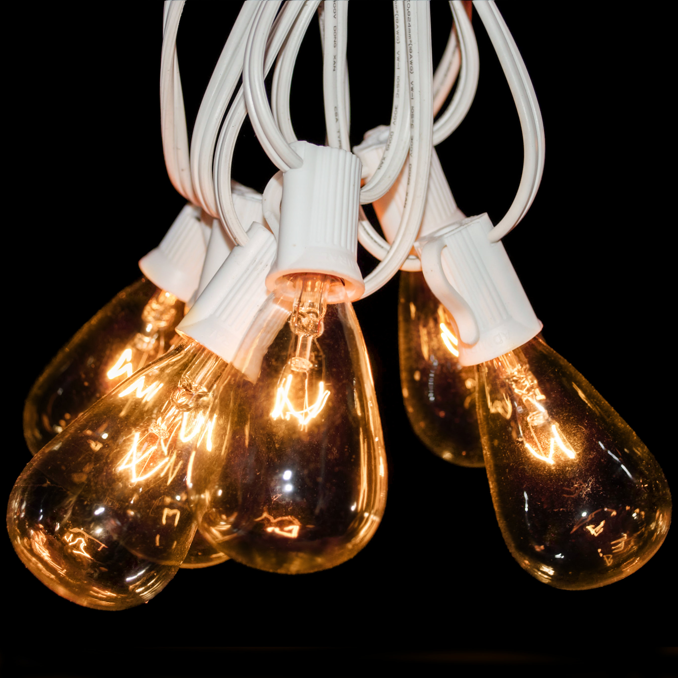 HometownEvolutionInc Edison String Lights 25'' Outdoor 25 Bulb