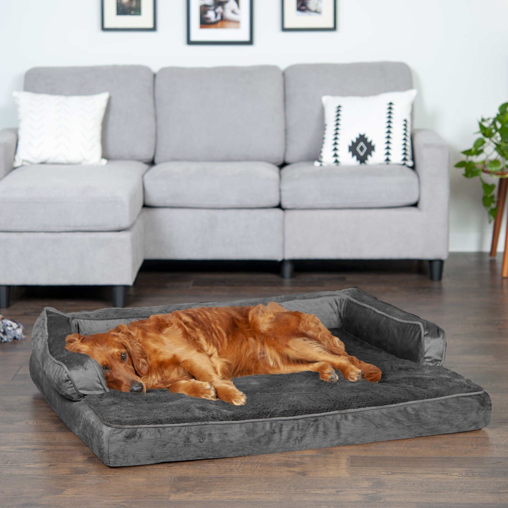 FurHaven Plush & Velvet Comfy Couch Sofa-Style Pet Bed & Reviews | Wayfair