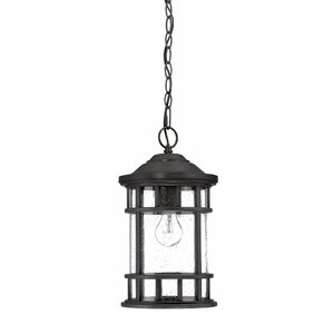 Ferryhill 1-Light Outdoor Hanging Lantern