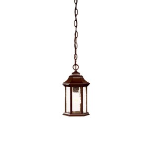 Madison 1-Light Outdoor Hanging Lantern