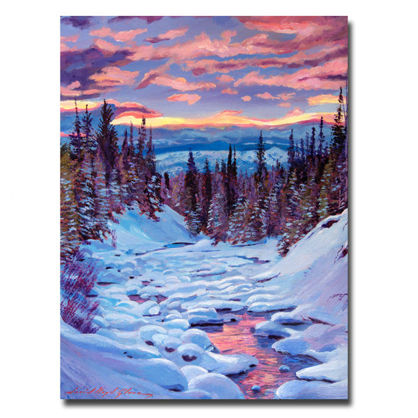 Trademark Art Winter Solstice By David Lloyd Glover Framed Painting Print On Wrapped Canvas Wayfair